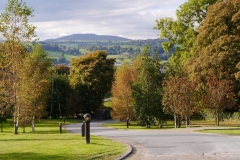 Park Drive