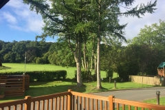 Patio View