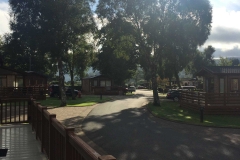 Into Park
